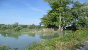 Šulianské jezero